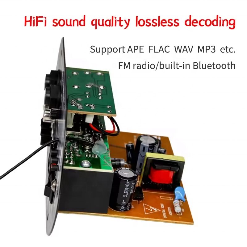 DC12V 24V AC220V 120W Car Subwoofer Blue-tooth Audio Amplifier Board Dual Microphone for 8-10inch Speaker Power Amplifier Board