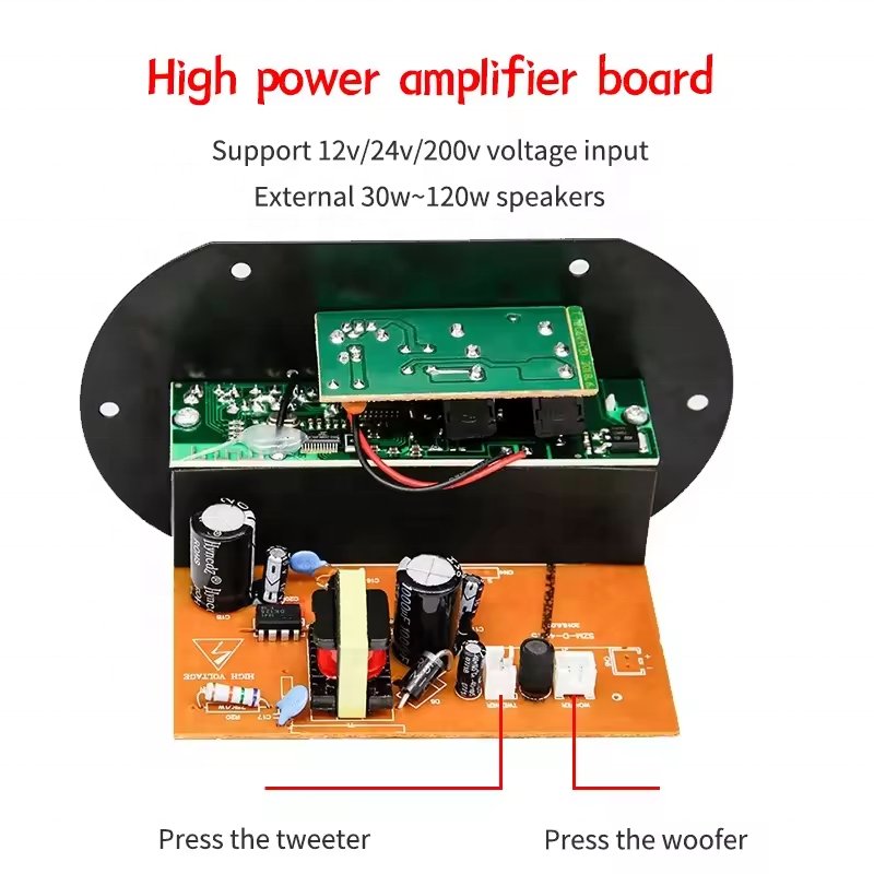 DC12V 24V AC220V 120W Car Subwoofer Blue-tooth Audio Amplifier Board Dual Microphone for 8-10inch Speaker Power Amplifier Board
