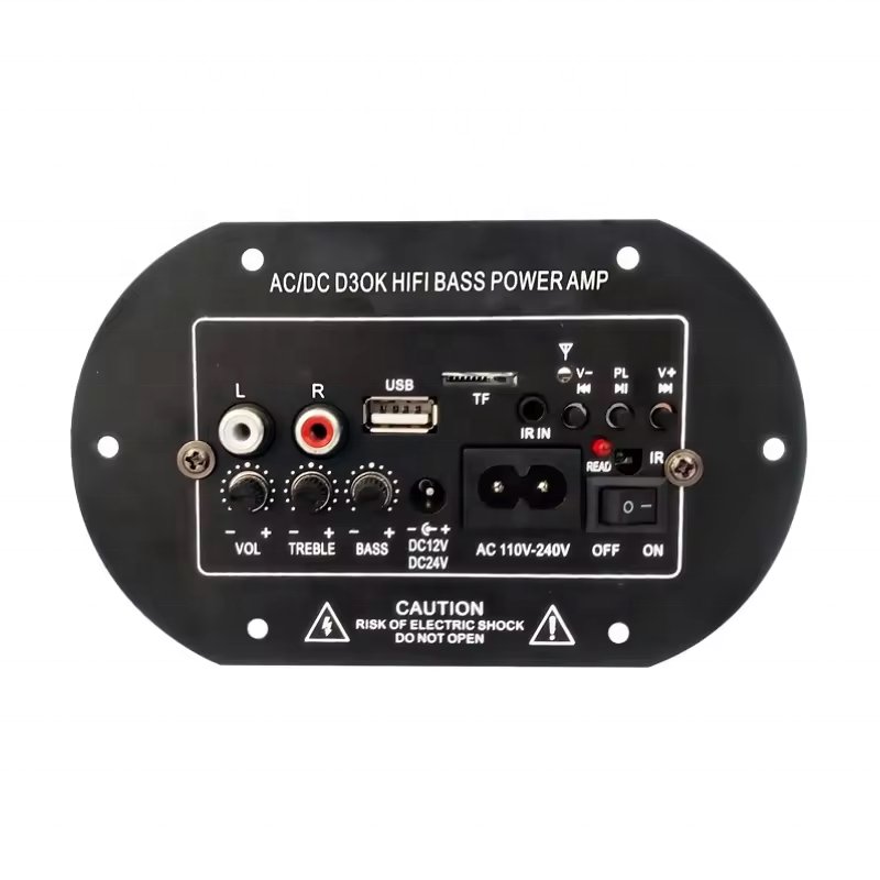DC12V 24V AC220V 120W Car Subwoofer Blue-tooth Audio Amplifier Board Dual Microphone for 8-10inch Speaker Power Amplifier Board