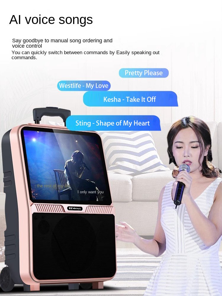 N60 Portable mobile handcart pull rod mobil Audio video intelligent sound mp3 mp4 player sound speaker