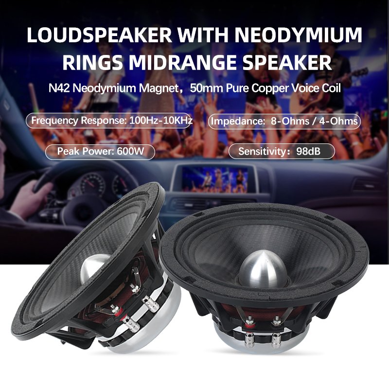 6.5 Midrange Car Speakers RMS 150W Auto Trumpet Class d Subwoofer Plate Amplifiers