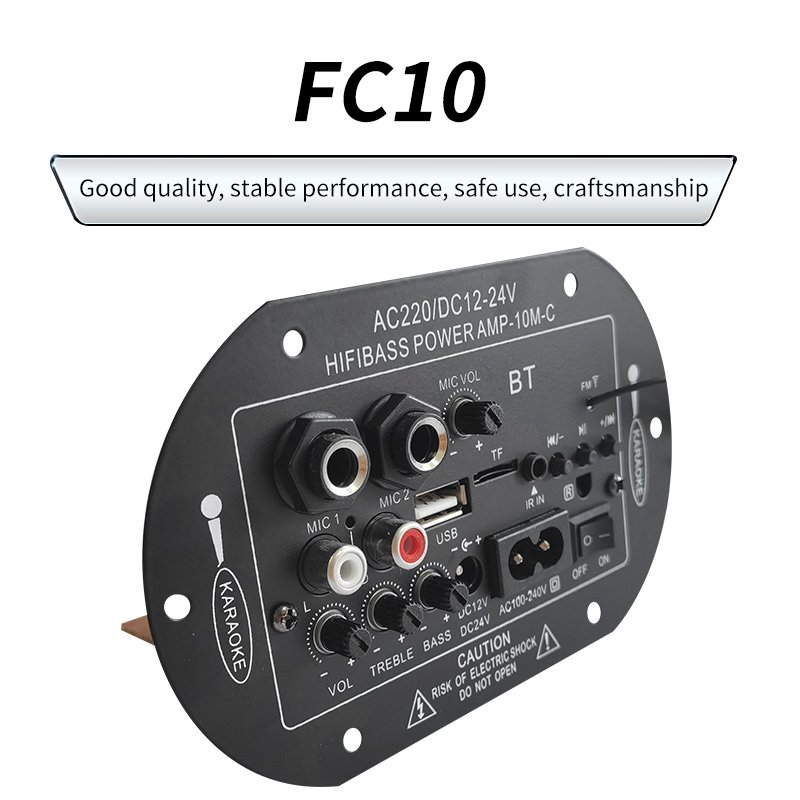 Custom Plate Subwoofer Car-Borne Power Amplifiers 8-10Inch Speaker with Remote Control Microphone Karaoke Amplifier Board