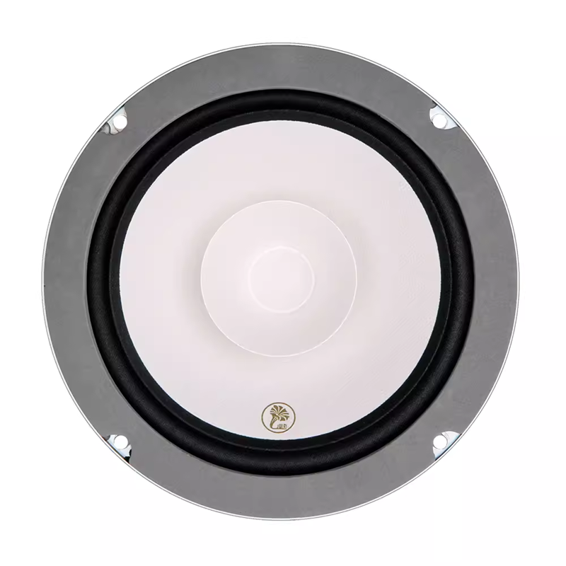 LII AUDIO New Version FAST-6 6.5-inch HIFI Full Frequency Speaker Car Horn 30W/4ohm (1 Pair)