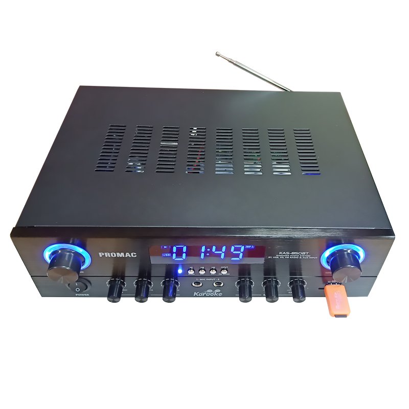 SW-1010B 2*100W Karaoke Stereo Amplifier with Wireless Microphone and LED Display