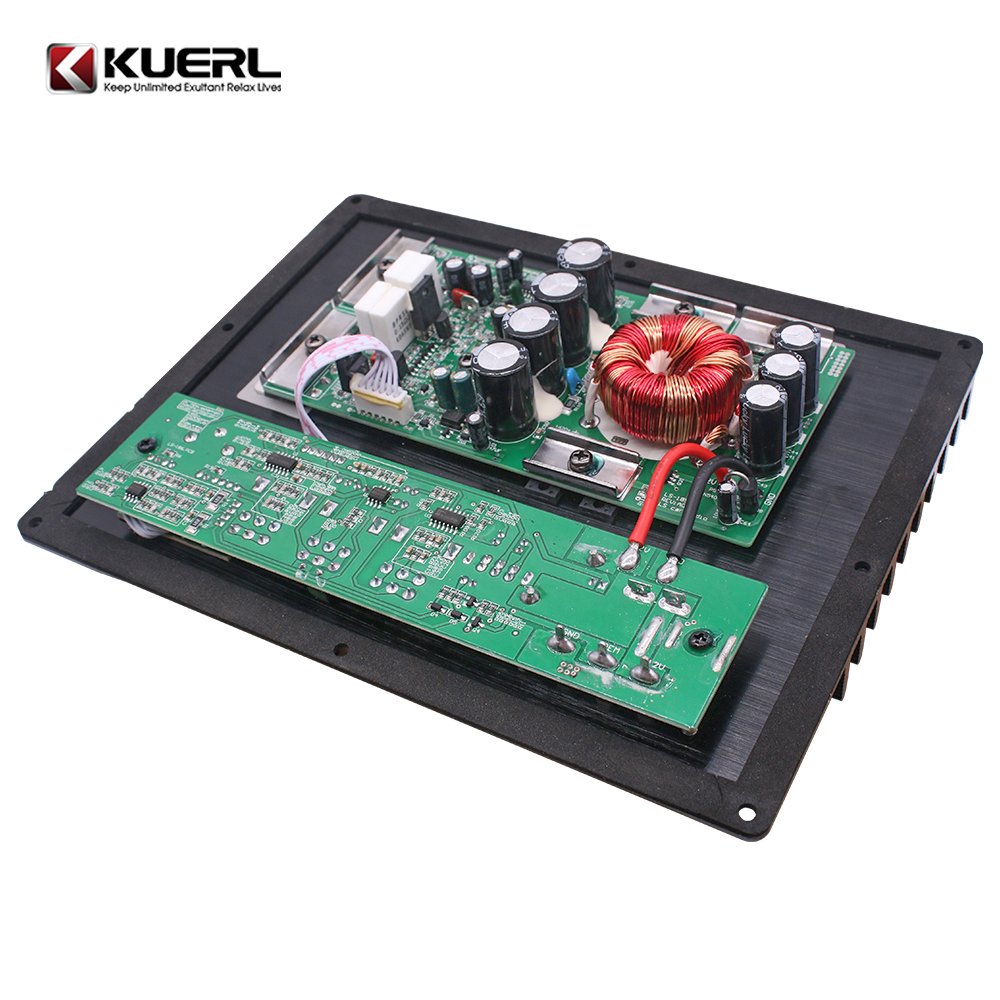 High Power 2000W Amplifier Board 12V Car Power Amplifier Board for Subwoofer
