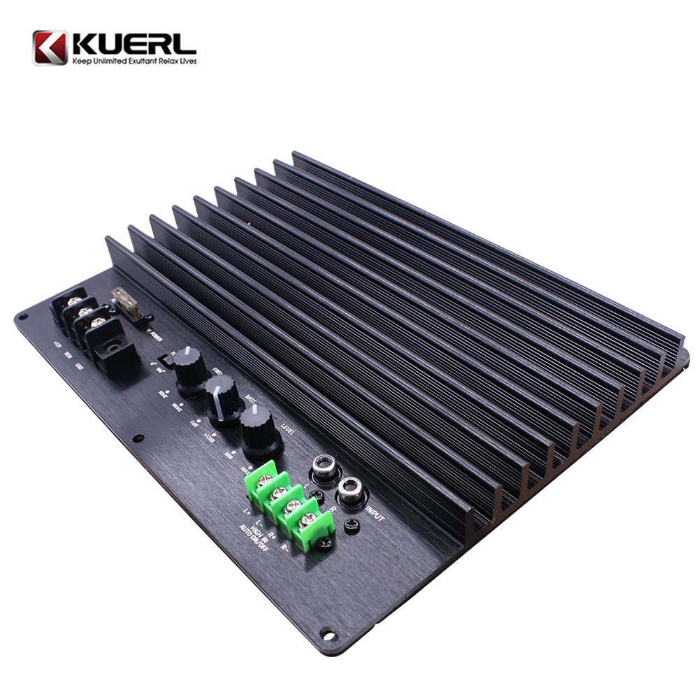 High Power 2000W Amplifier Board 12V Car Power Amplifier Board for Subwoofer