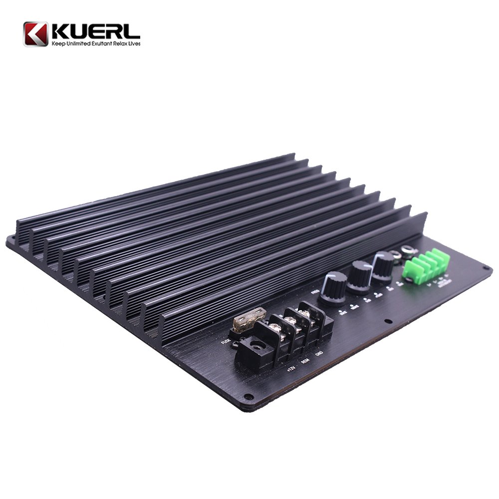 High Power 2000W Amplifier Board 12V Car Power Amplifier Board for Subwoofer