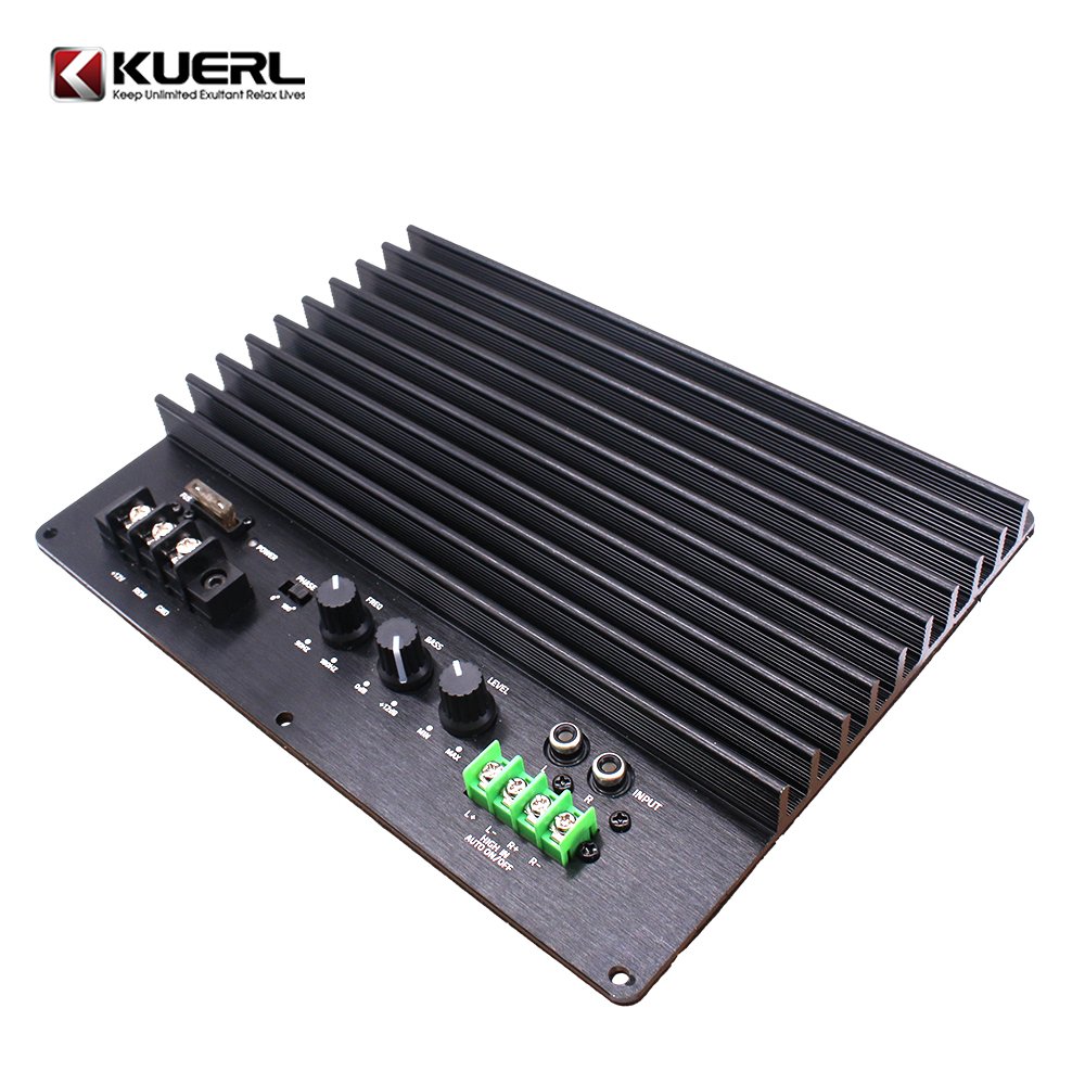 High Power 2000W Amplifier Board 12V Car Power Amplifier Board for Subwoofer