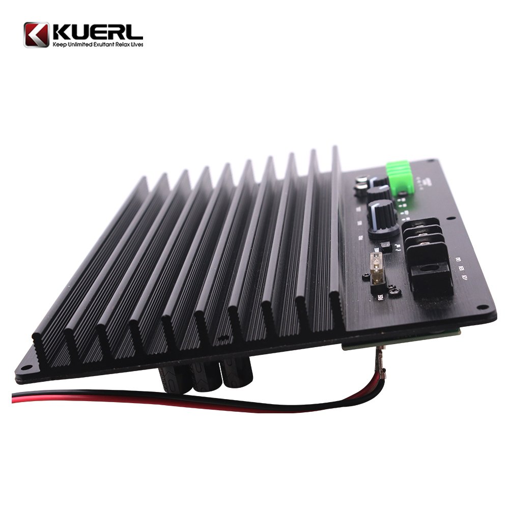 High Power 2000W Amplifier Board 12V Car Power Amplifier Board for Subwoofer