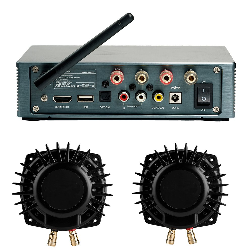 Samtronic 100W*2 Digital Amplifier TPA3116 Audio Power Amp HiFi Stereo Sound Amplifier with 2pcs 50W Bass Shaker Kit