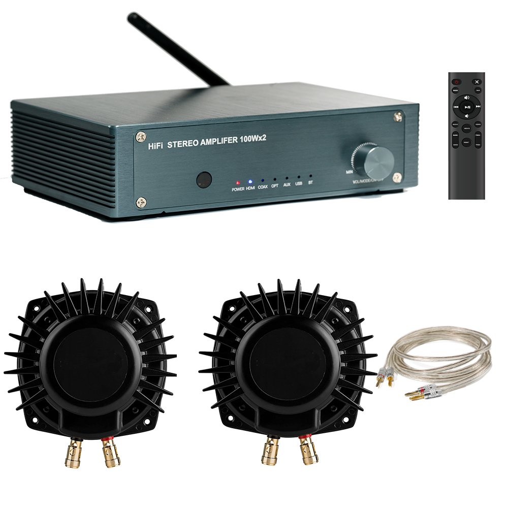 Samtronic 100W*2 Digital Amplifier TPA3116 Audio Power Amp HiFi Stereo Sound Amplifier with 2pcs 50W Bass Shaker Kit