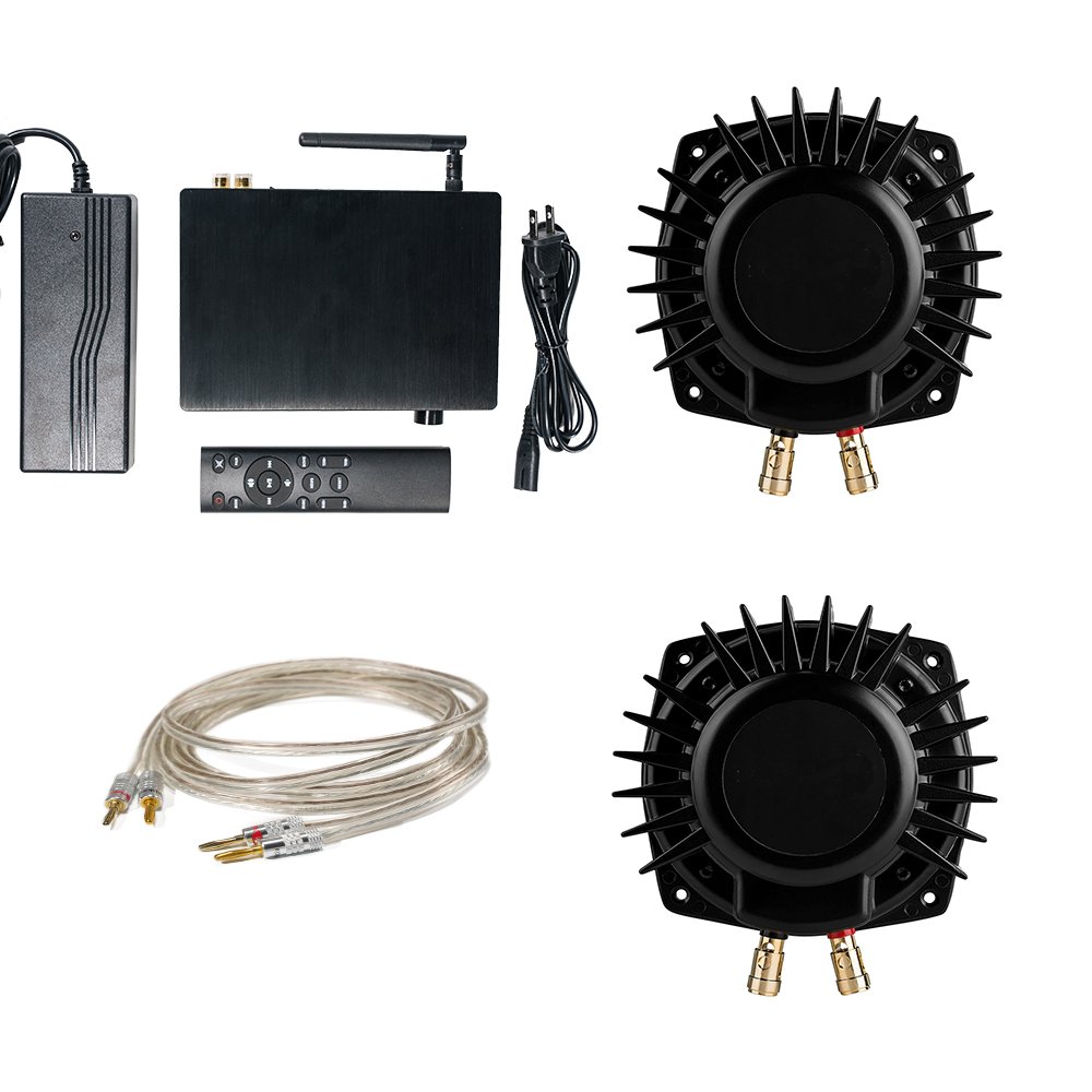 Samtronic 100W*2 Digital Amplifier TPA3116 Audio Power Amp HiFi Stereo Sound Amplifier with 2pcs 50W Bass Shaker Kit