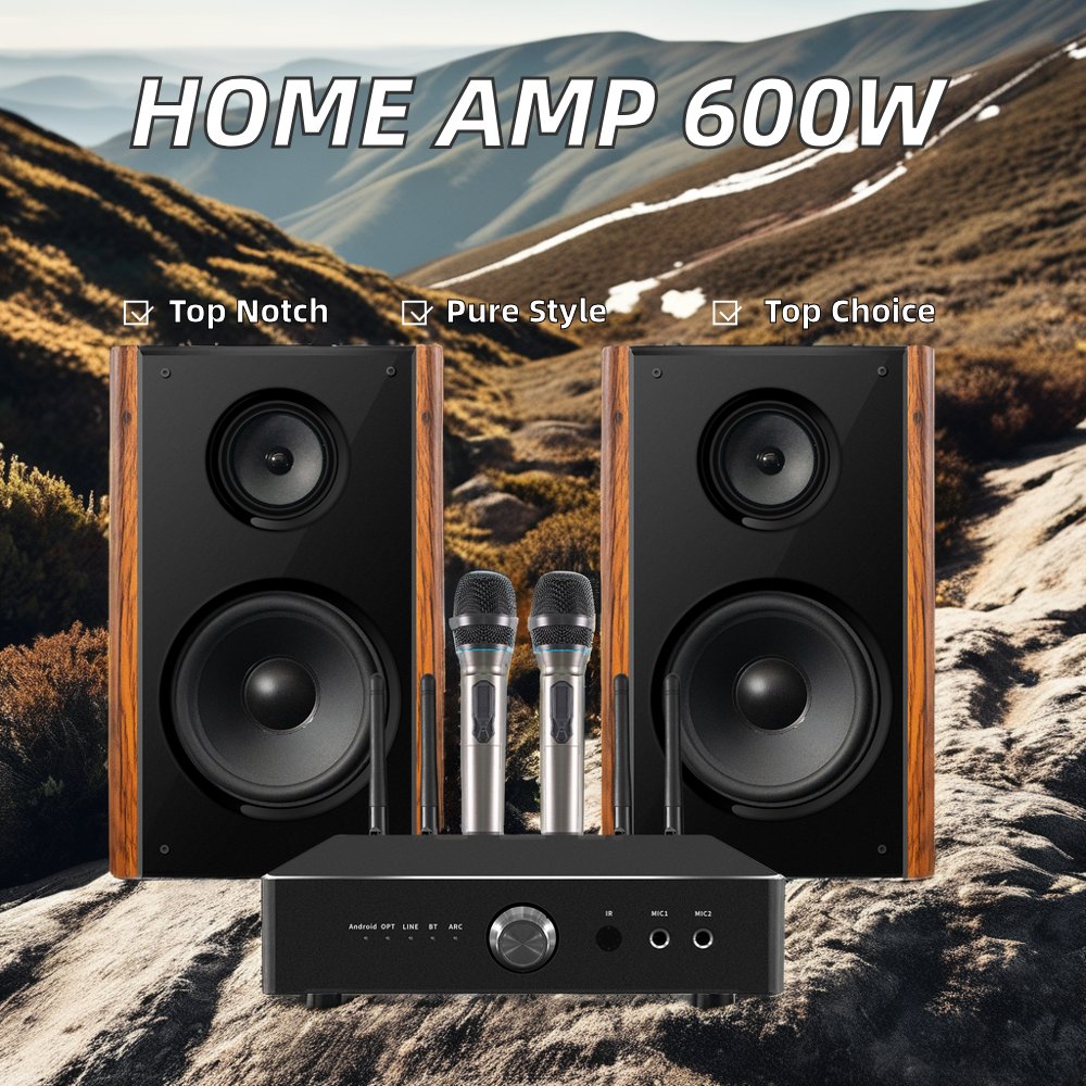 IHOMELIFE Hot Sales3 Channel Ktv Home Theatre System 2 Mics Input Speaker Mixer Professional Audio Stereo Amplifiers 600w
