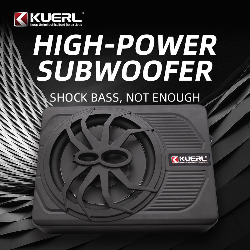 New Model 10 Inch 800W Auto Under Seat Super Thin As 5.5mm Active Subwoofer Slim Amplifier Subwoofer for Car