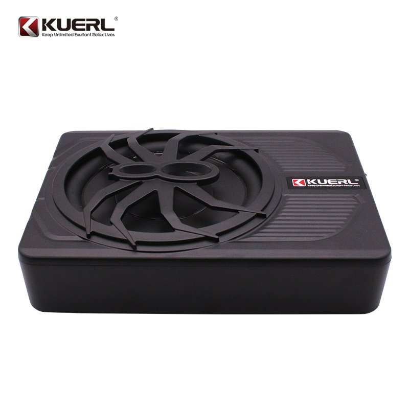 New Model 10 Inch 800W Auto Under Seat Super Thin As 5.5mm Active Subwoofer Slim Amplifier Subwoofer for Car