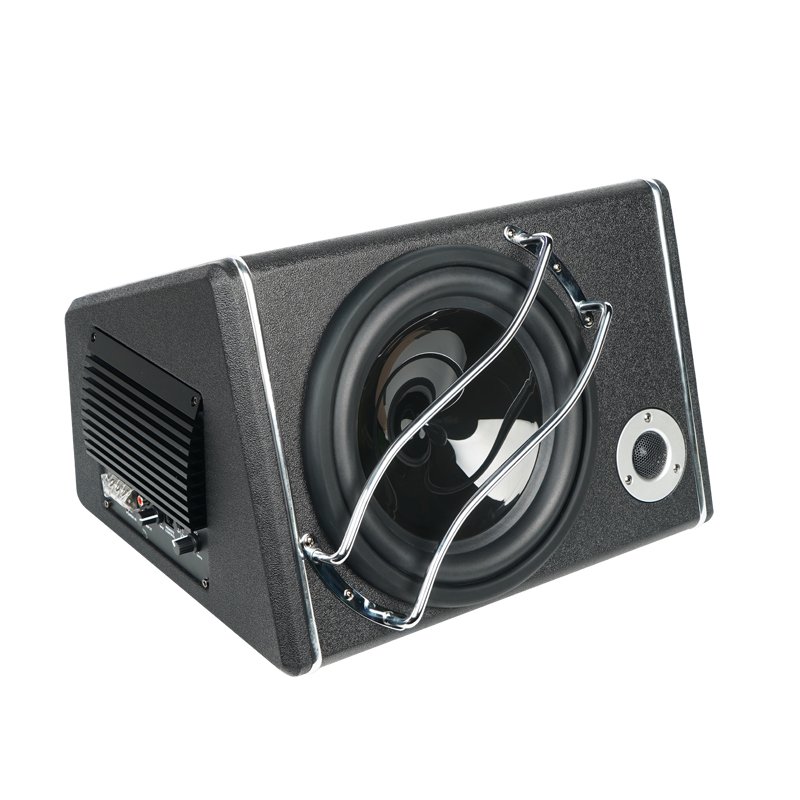 Car Stereo Subwoofer 10 Inch 21 Inch Available Active Enclosure Box Car Subwoofer with Amplifier TF-CARD USB Play
