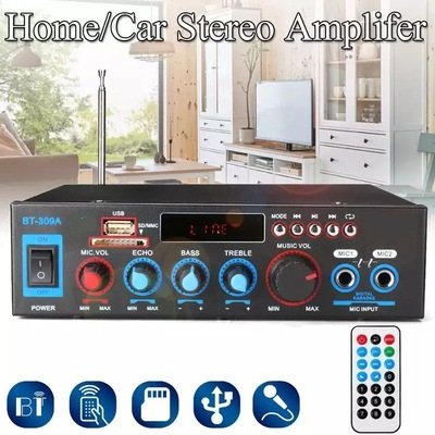 amplifier speaker power amplifier card U disk radio DC 12 volt 220V Car amplifier
