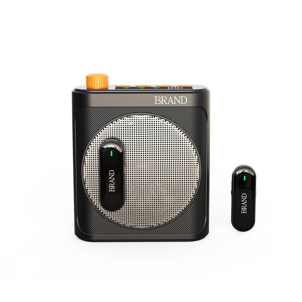 Handheld Bluetooth Amplifier with Two Clip-On Wireless Mics, Feedback Reduction, Great for Teachers, Vendors, and Music Playback