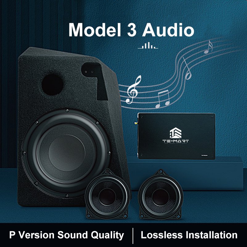 Car Audio Cystem with Sub 8 Inch Subwoofer Speaker for tesla Model 3 Y Car Amplifier pioneer Subwoofer