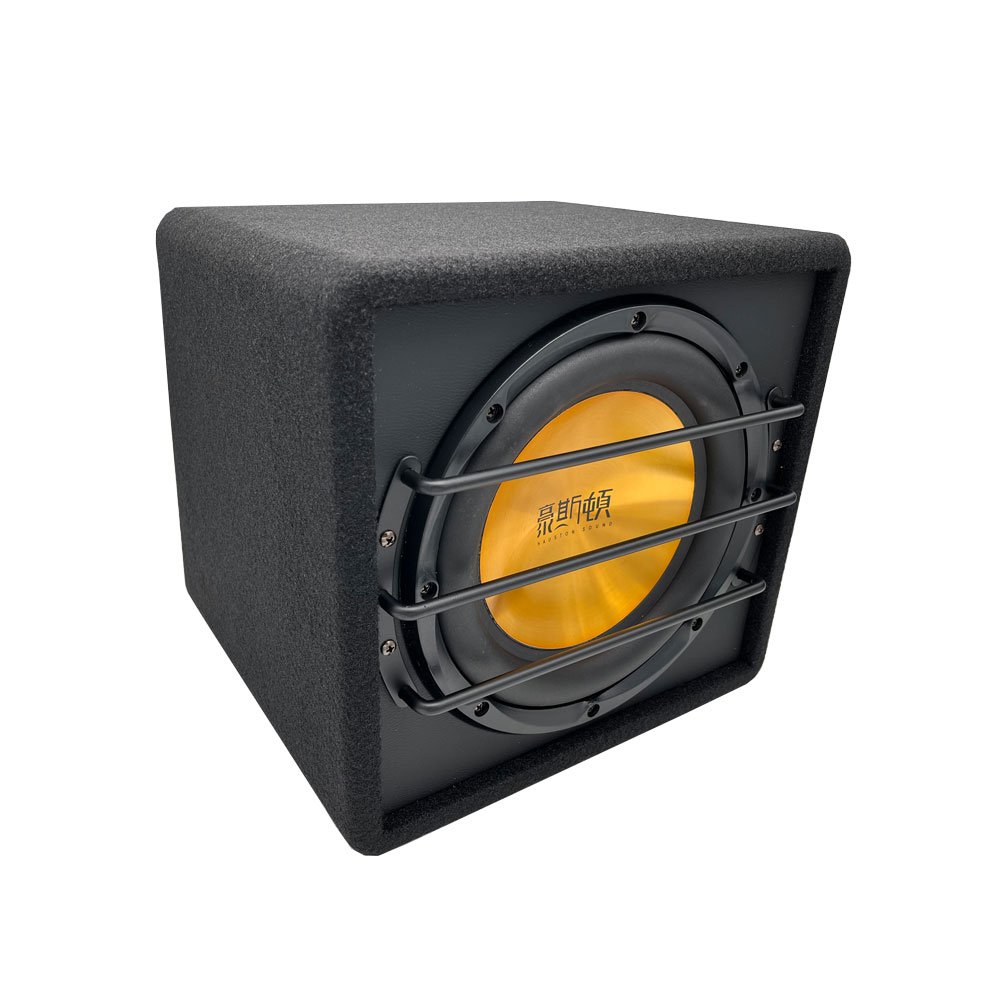 Factory Hot Sale Good Quality High Power Car Subwoofer with Box and Amplifier Car Active Subwoofer