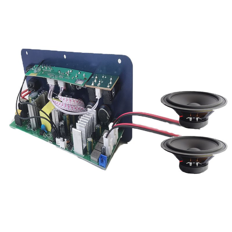 12-Inch Car Audio Board with BT FM Radio Dual Microphone Receivers 2-Channel Subwoofer Amplifier TF Player Combo