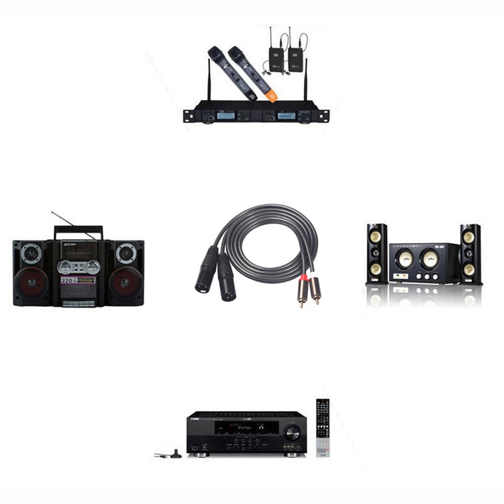 Gold-plated Head Double Lotus Audio Cable RCA Male to Dual Male XLR Audio Cable Mixer Amplifier Audio Cable