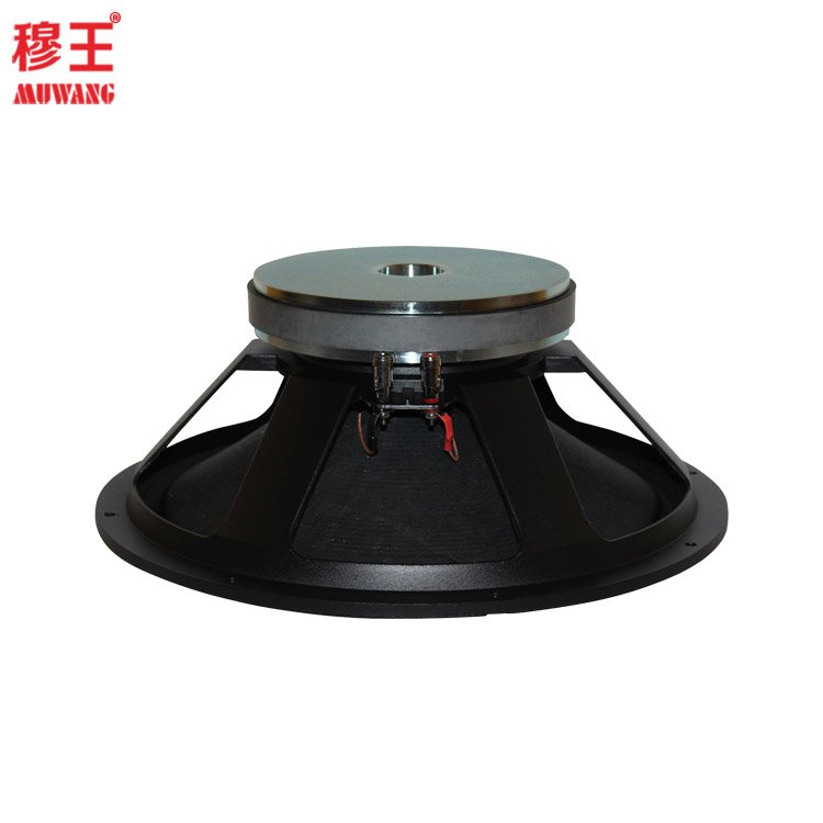 15 Inch Professional Speaker Good Sound Studio Outdoor Audio Woofer OEM Factory WL1501