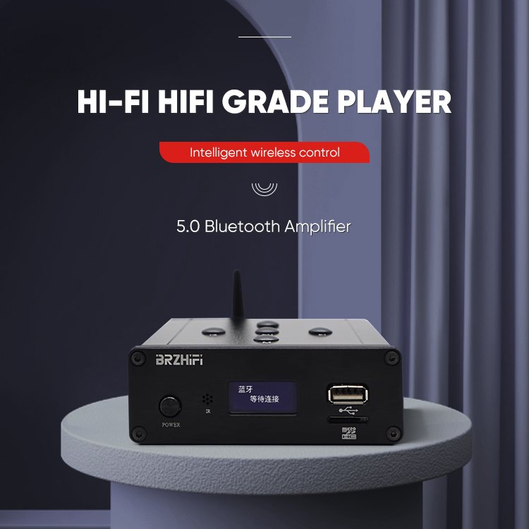 BRZHIFI Aluminum BT 5.0 USB Mini Portable Hifi Player Home Remote APP Control HiFi Power Amplifier