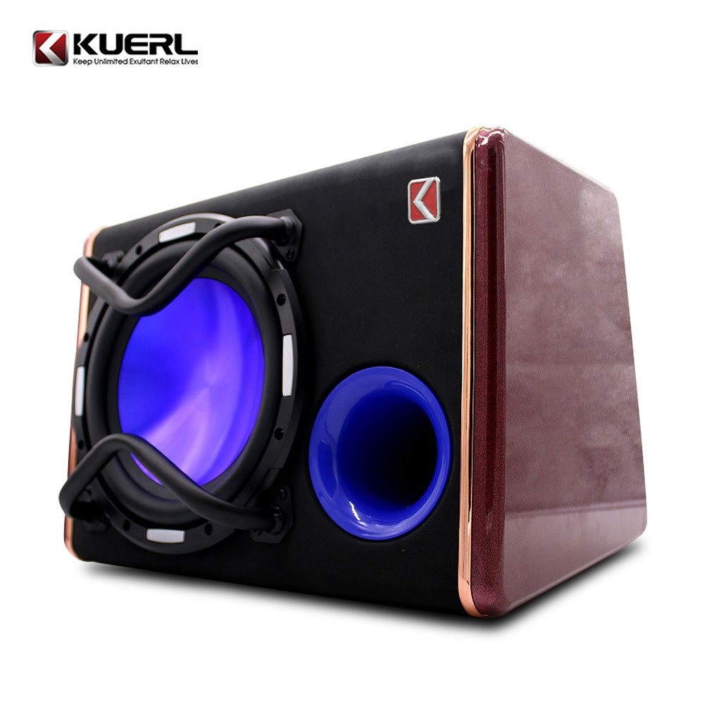 Wholesale 10 Inch Refit Speaker Box DC 12V 1200W Big Power Car Subwoofer With Amplifier