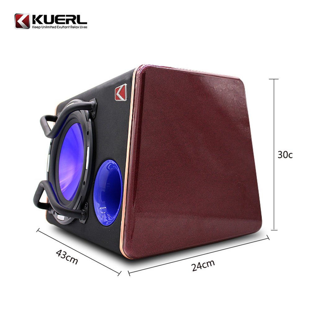 Wholesale 10 Inch Refit Speaker Box DC 12V 1200W Big Power Car Subwoofer With Amplifier