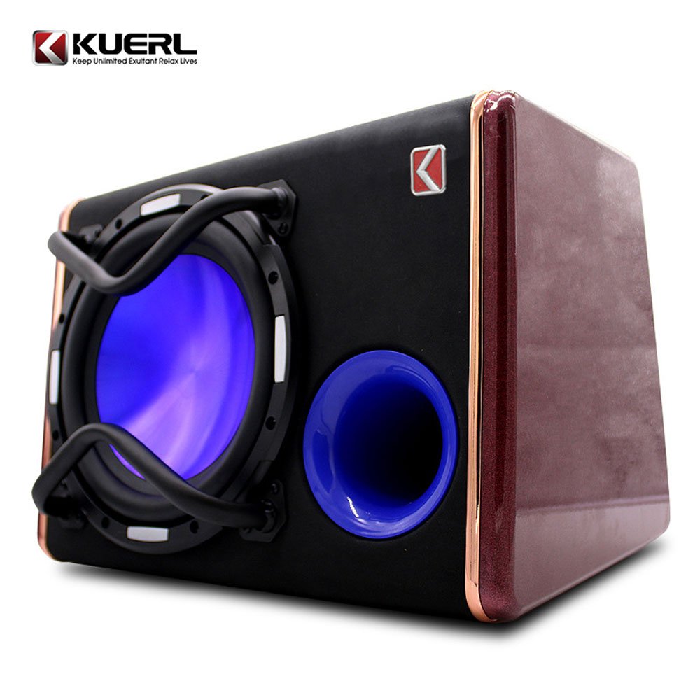 Wholesale 10 Inch Refit Speaker Box DC 12V 1200W Big Power Car Subwoofer With Amplifier