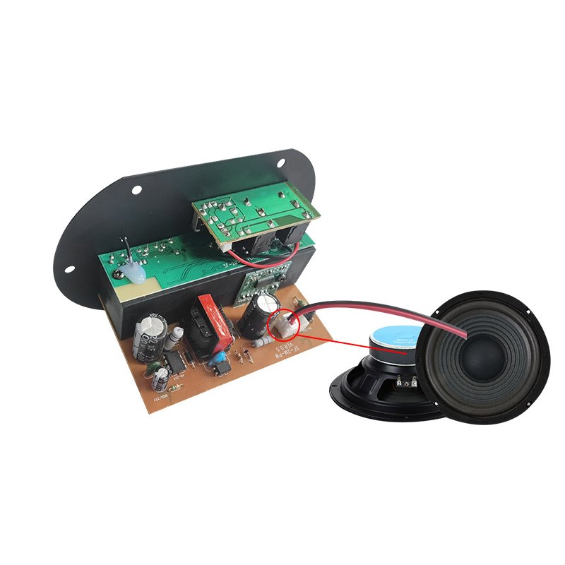 AC/DC Power Amplifier Board Dual Microphone 4 Ohms 6-10 Inch Car Speakers Subwoofer Audio 12/24V 110/220V Output Mini Stereo