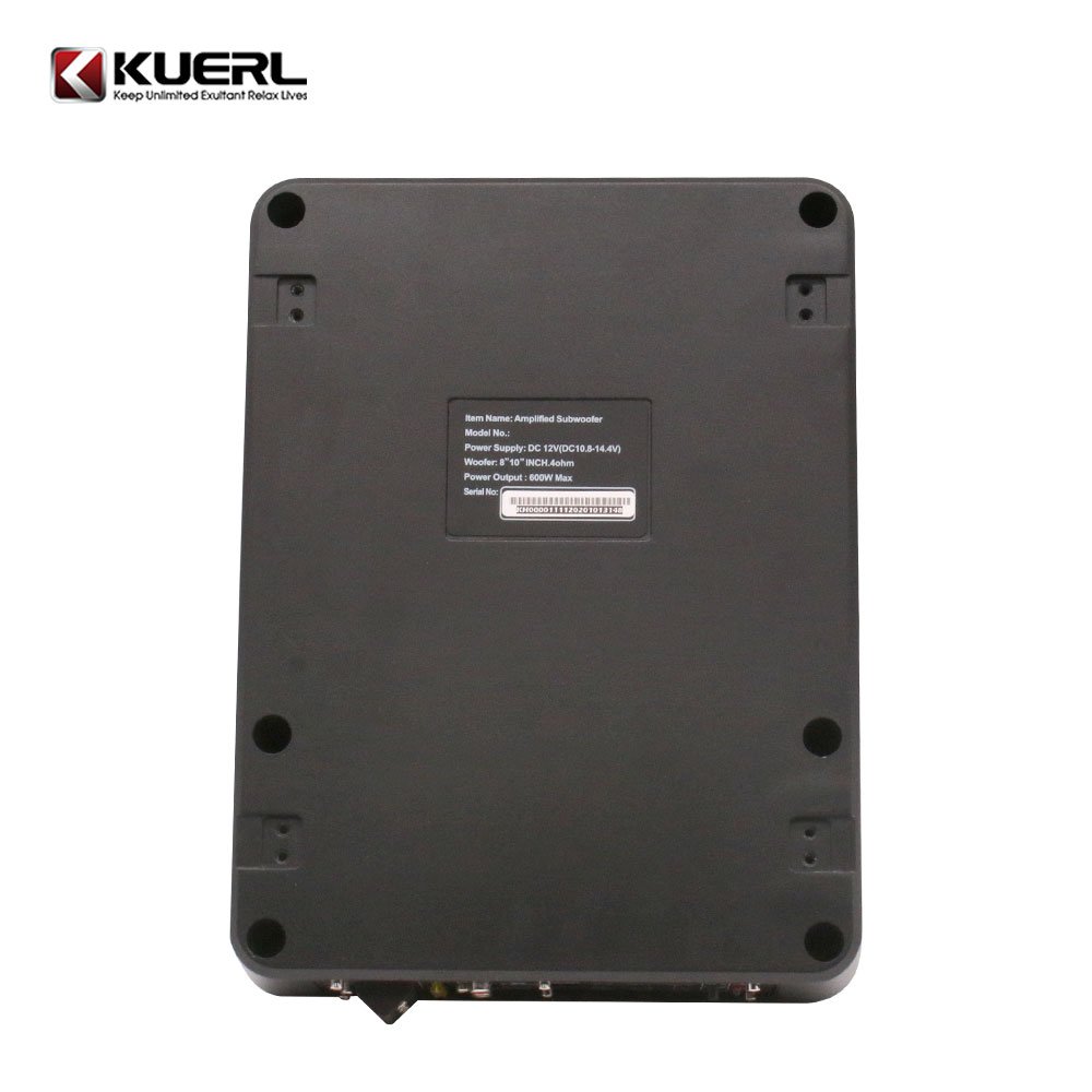 New Model 10 Inch 600W Auto Under Seat Thin Active Subwoofer Slim Amplifier Subwoofer for Car