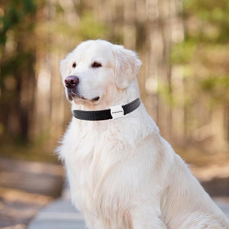 Anti-lost Smart Pets Alarm Tag BT Tracker for Kids Bag Pet Dog Cat Car Wallet Phone Keychain Finder Locato tracker