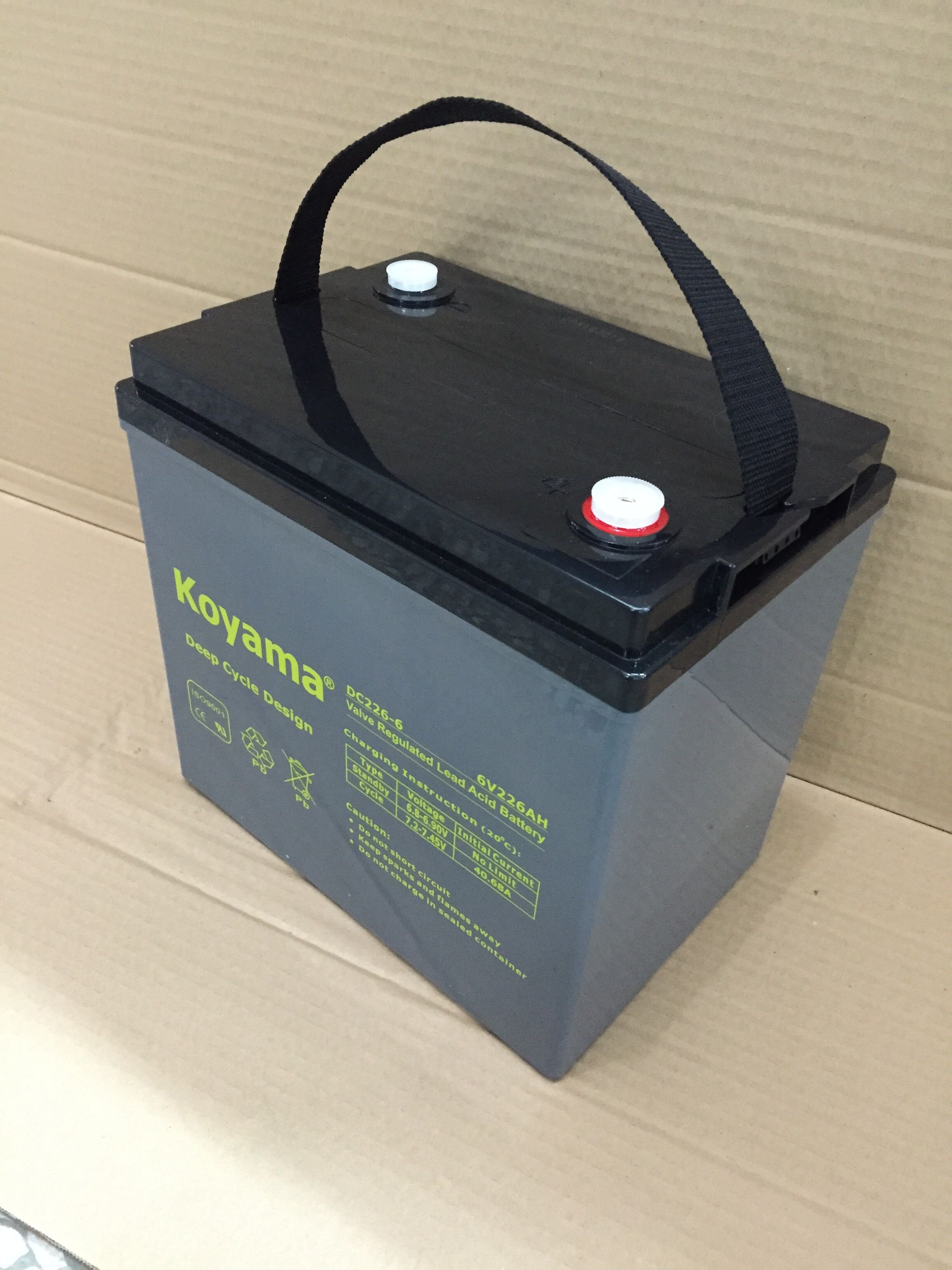DC226-6 6V226AH Deep Cycle AGM Valve Regulated Lead Acid Battery for Electric Vehicles for Electric Cars Golf Carts Boats