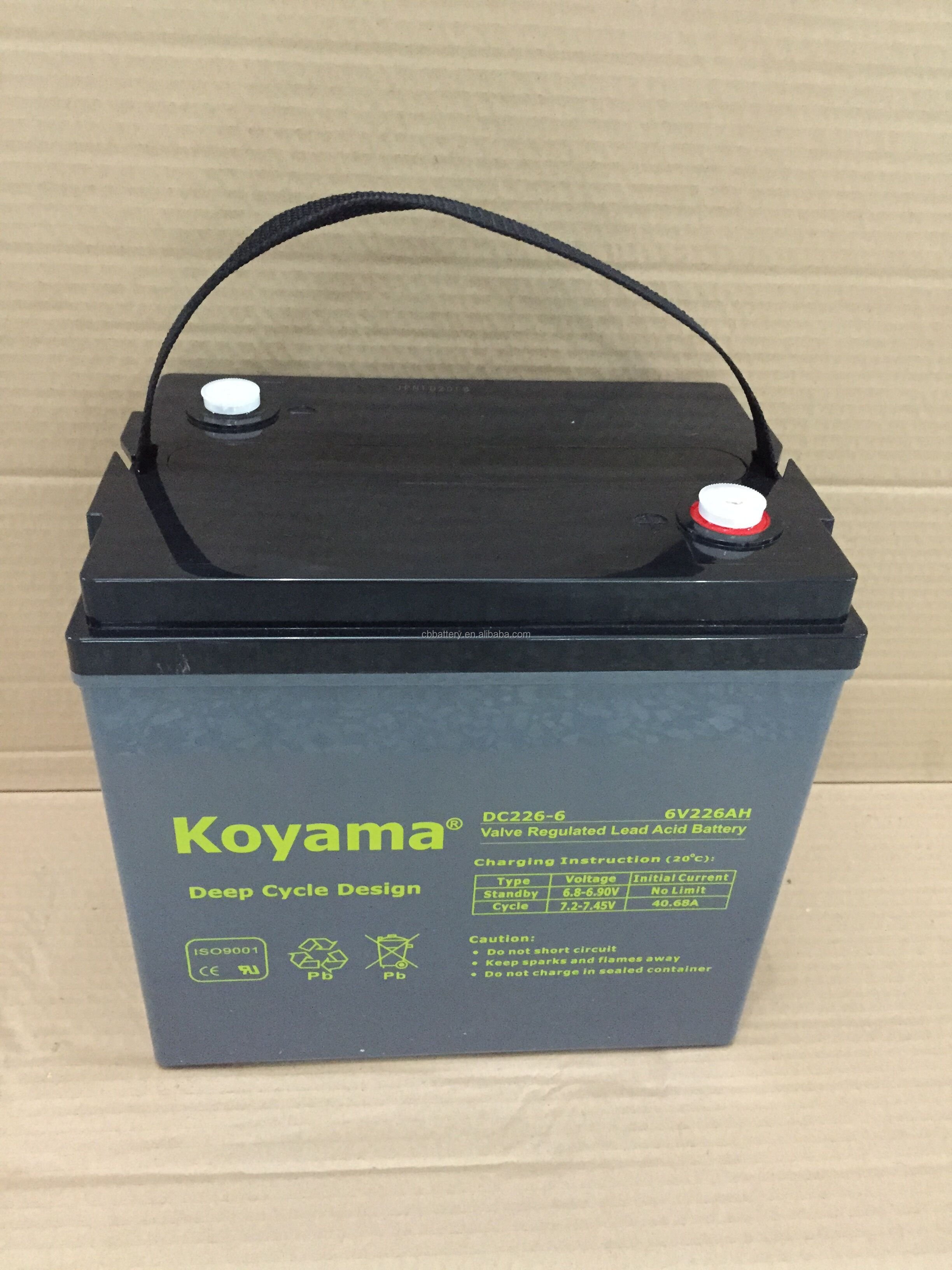 DC226-6 6V226AH Deep Cycle AGM Valve Regulated Lead Acid Battery for Electric Vehicles for Electric Cars Golf Carts Boats