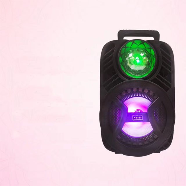 6.5 Inch Speaker Car Audio Portable Mobile Music Mini Speaker with Fm Radio Microphone