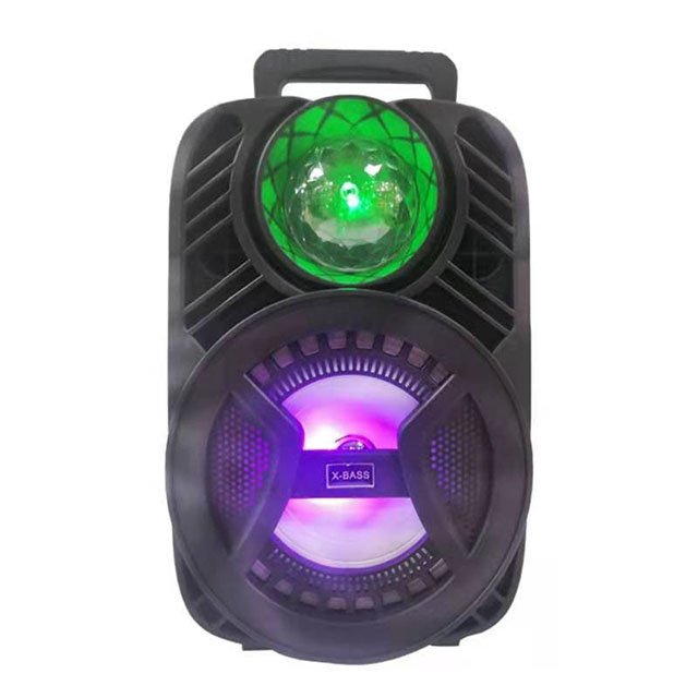 6.5 Inch Speaker Car Audio Portable Mobile Music Mini Speaker with Fm Radio Microphone