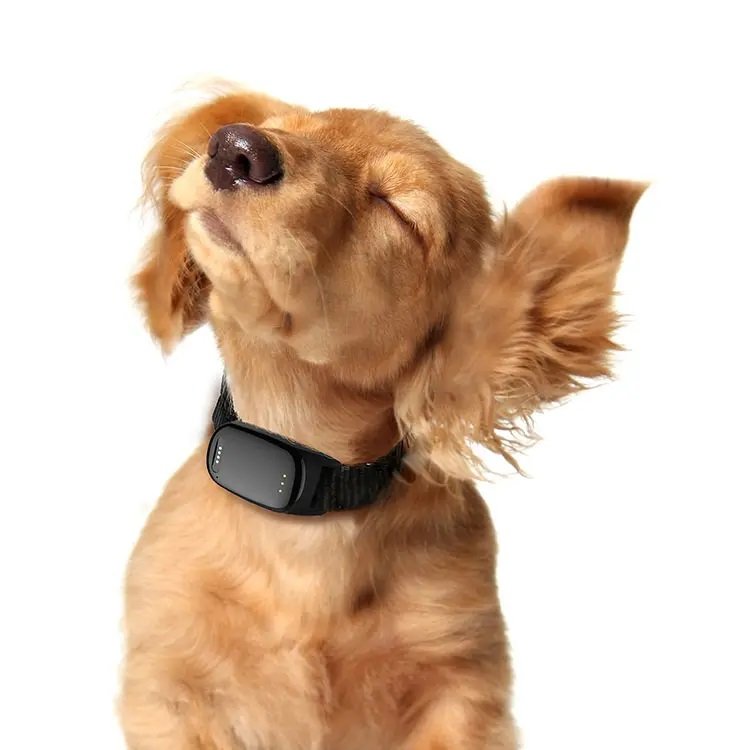 Real Time Waterproof Pet GPS Tracker Dog Cat Anti Lost Location GPS Tracking Collar amazon
