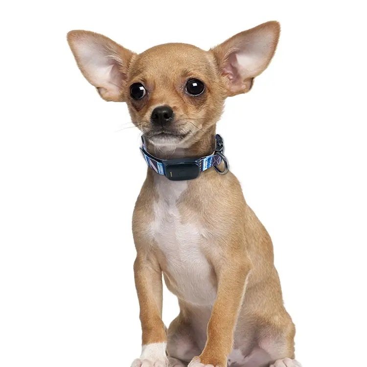 Real Time Waterproof Pet GPS Tracker Dog Cat Anti Lost Location GPS Tracking Collar amazon