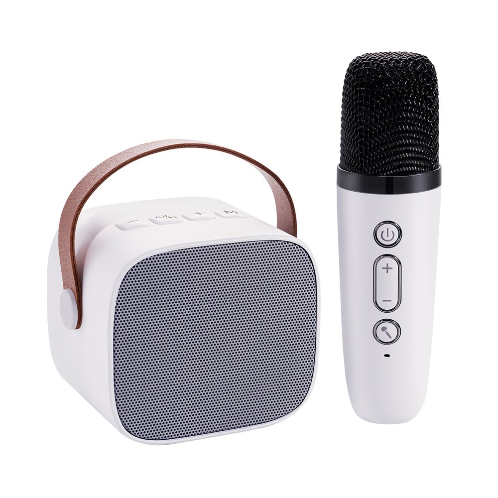 Gaodas Latest Design Custom Type Karaoke Player Sound Box Hifi Loud Micro Phone Speaker Led Light Speaker With Mic