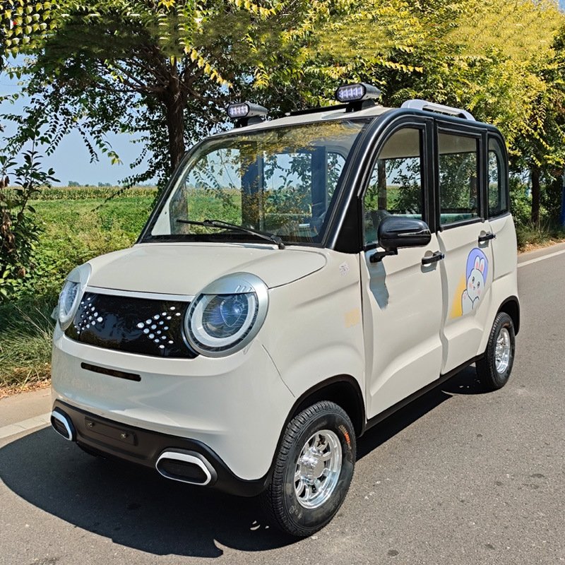 Factory Sales Small Eco Car Family Four-Wheel Electric Vehicle 1000W 60v Fully Enclosed New Energy Automobile Radio for Elderly