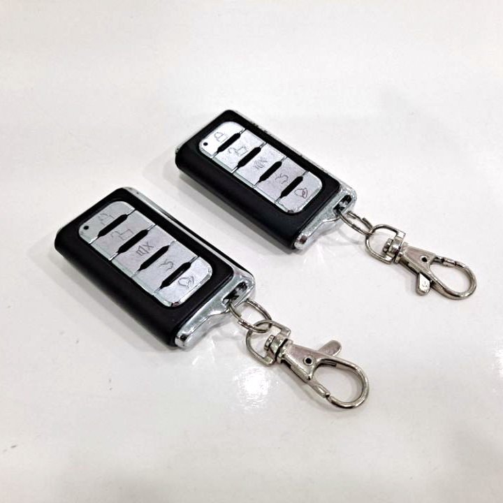 Wholesale Car Alarm System Security Central Lock System Kit with Remote Control Auto Anti Theft 4kg BCS-168
