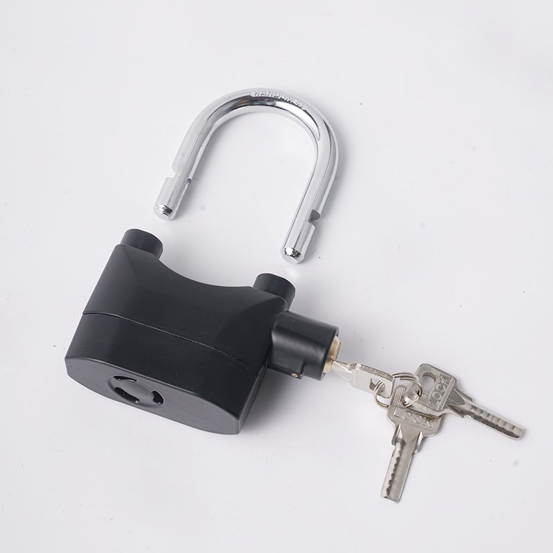Factory Cheap Safe From Car Motorcycle 70mm110dB Plastic or Aluminum Lock Body Black Alarm Lock