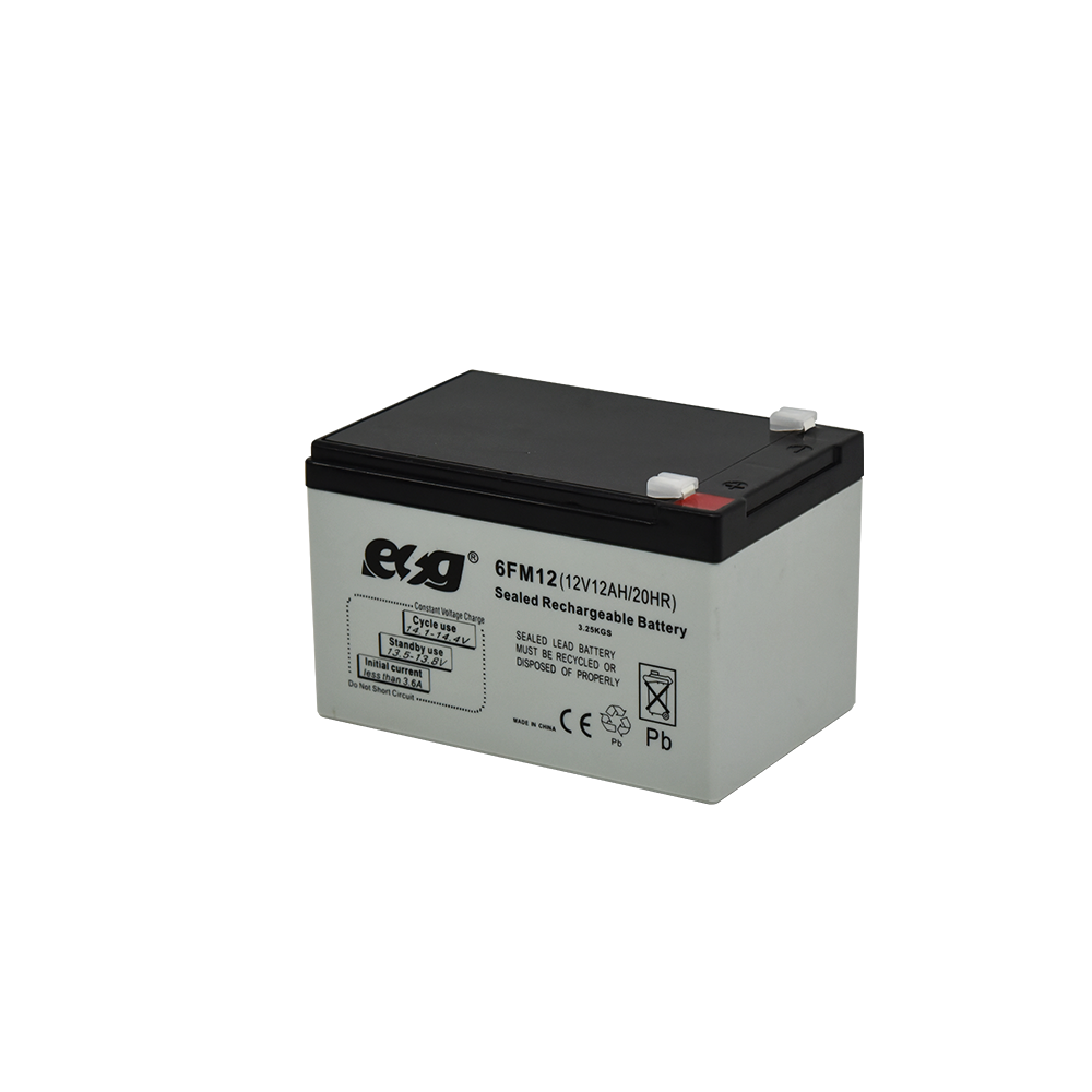ESG OEM Popular New Producing Hot Selling Vrla Agm 12v 9ah 12ah 20ah Solar Ups Battery