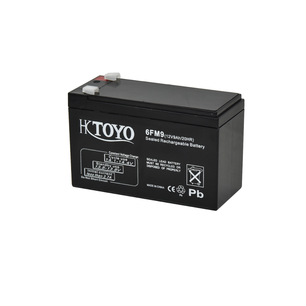 ESG 12V7AH Rechargeable AGM Battery Long Life Maintenance Free Lead Acid China Battery for UPS Capacities 7AH 12AH 100AH 200AH