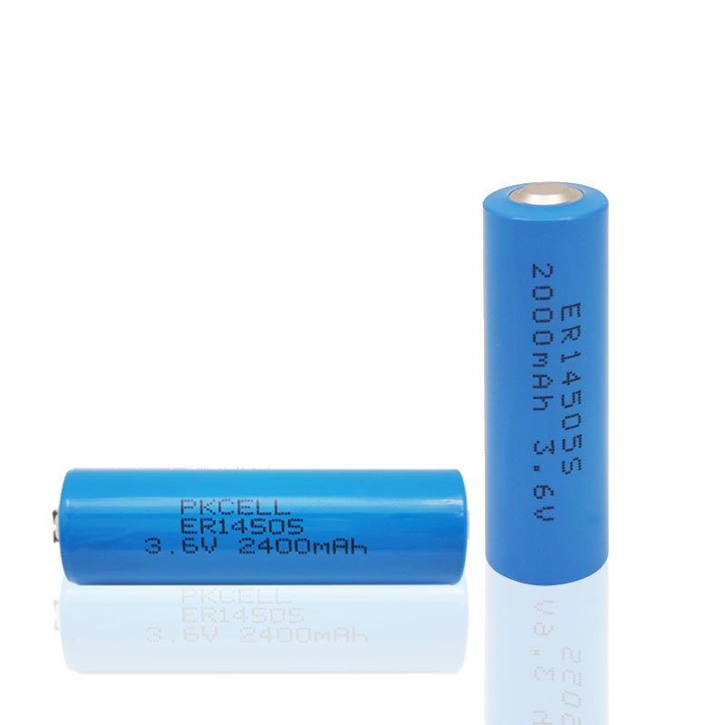 Lisocl2 Battery ER14505 3.6v Lithium Ion Battery 2.7Ah Primary Lithium Battery