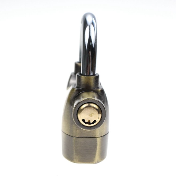 YH1659 Door Lock Warehouse Lock ,car Lock Antique Bronze Lock,alarm Lock