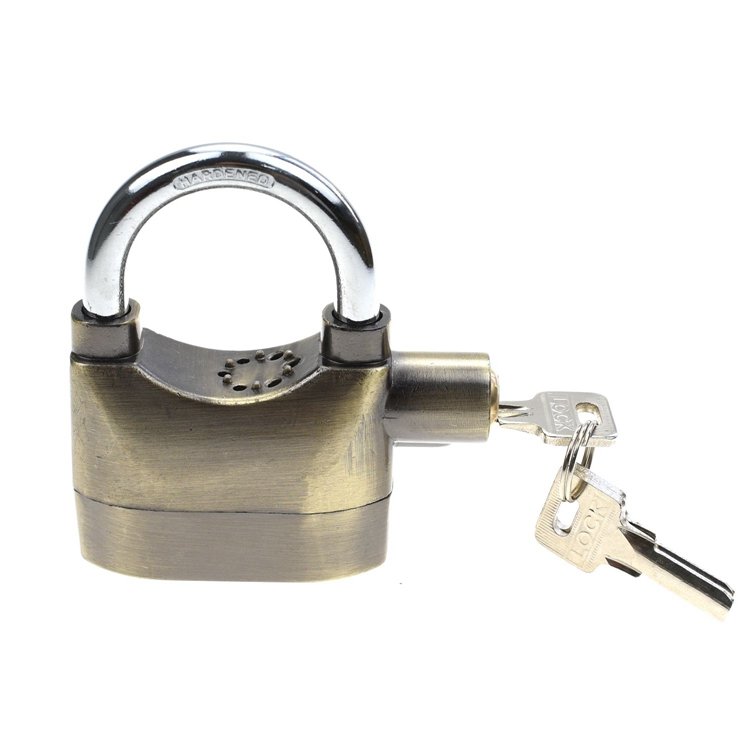 YH1659 Door Lock Warehouse Lock ,car Lock Antique Bronze Lock,alarm Lock
