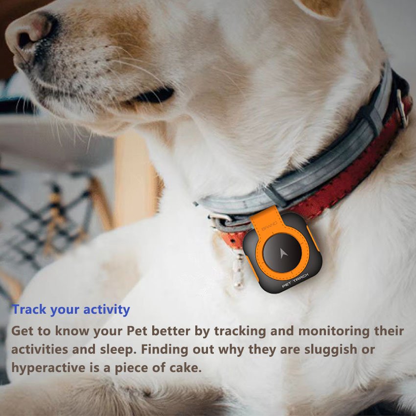 Pet Smart GPS Tracker Mini Anti-Lost Waterproof 4G Locator Sleep Calorie Health Status Tracer Collar for Pet Dog